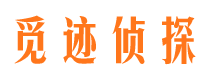 安县私家调查公司